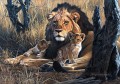 Löwe und Junge